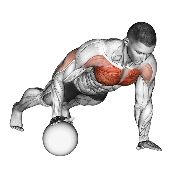 Push-Up Medicine Ball exercise animation (Male)