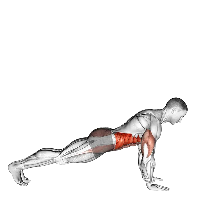 Push-Up to Side Plank exercise animation (Male)