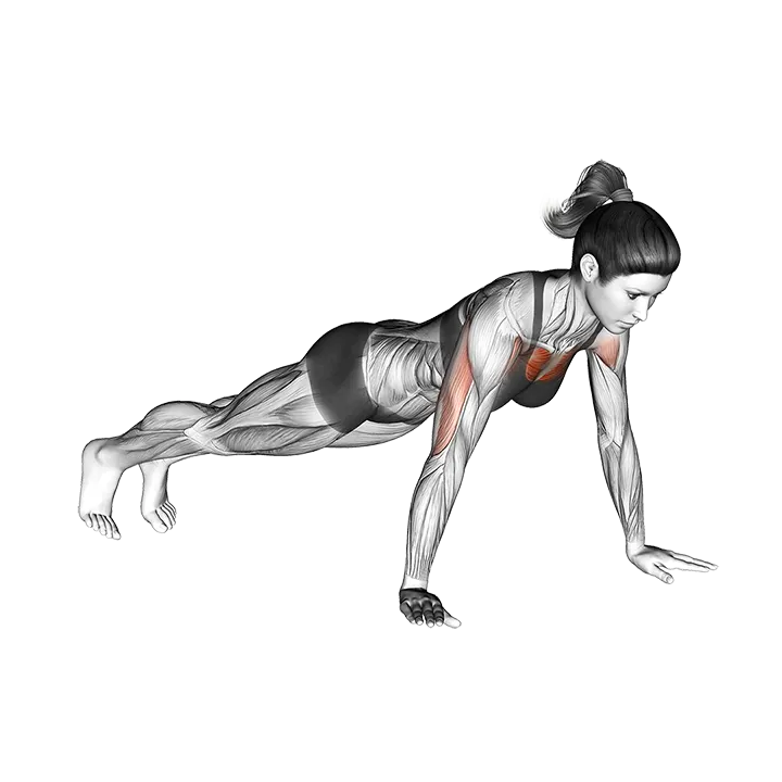 Push-up exercise animation (Female)