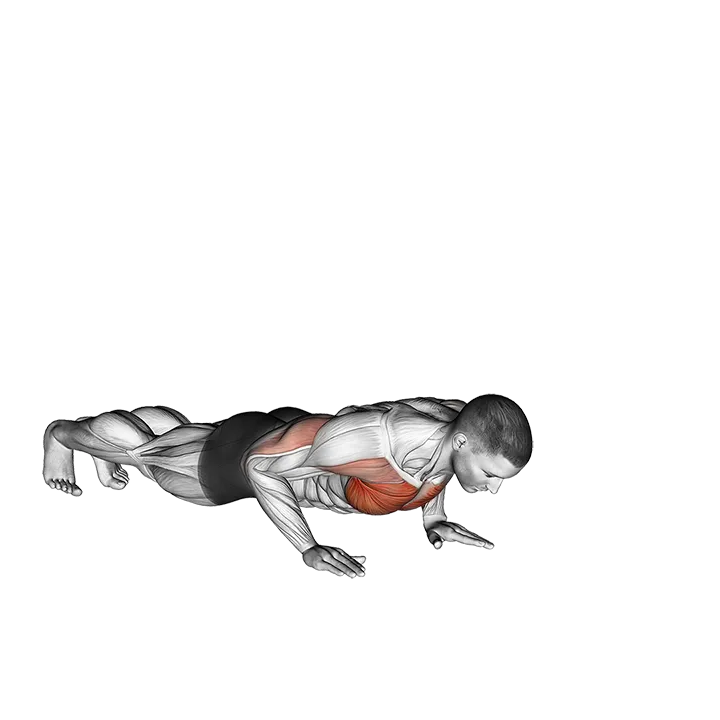 Raise Single Arm Push-up exercise animation (Male)