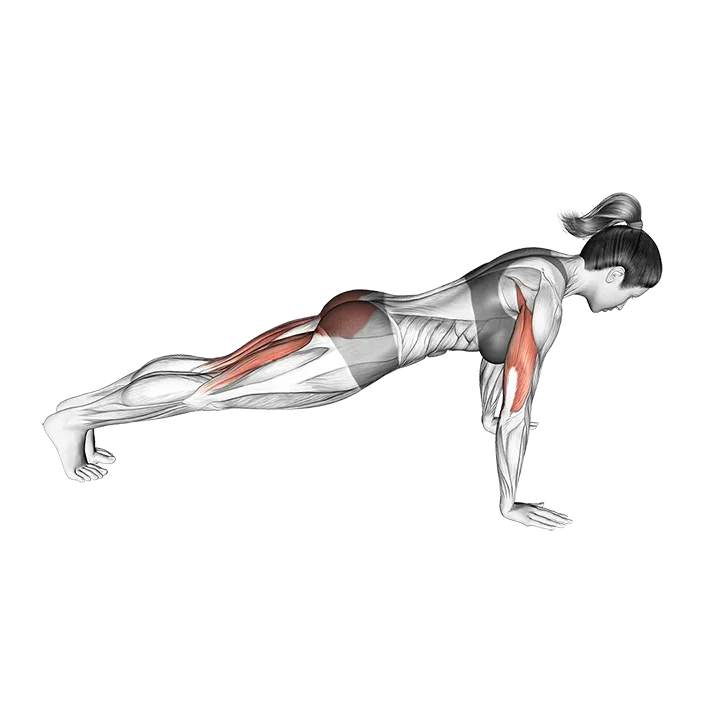 Raise Single Leg Push-up exercise animation (Female)