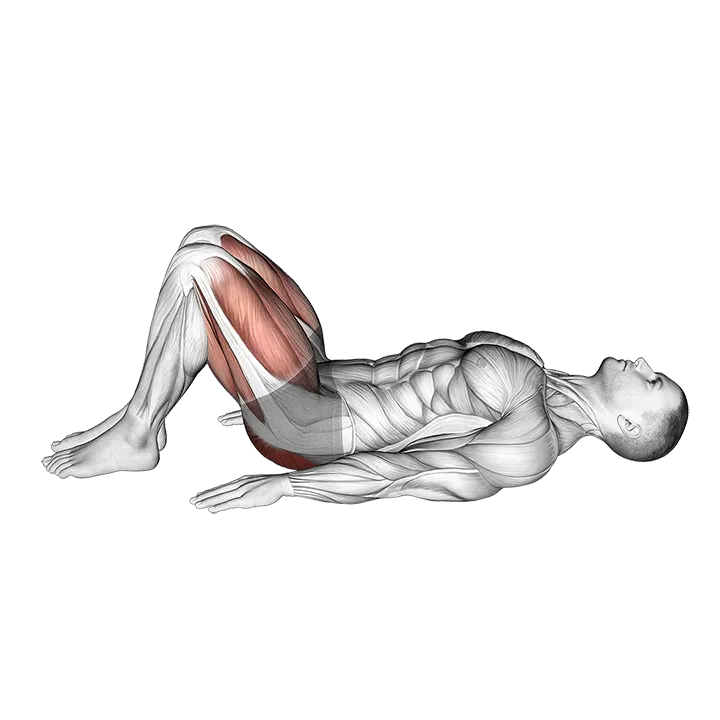 Rear Decline Bridge exercise animation (Male)