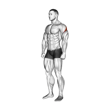 Rear Deltoid Stretch