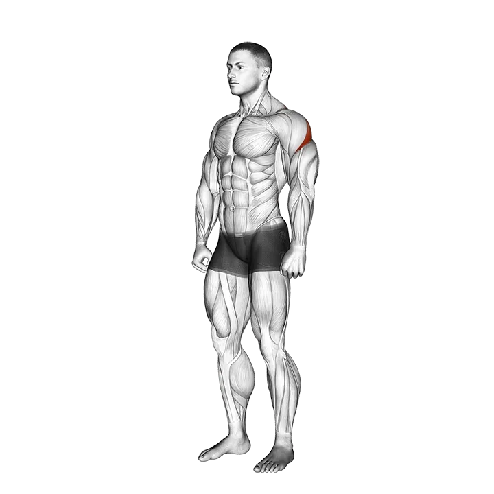 Rear Deltoid Stretch exercise animation (Male)