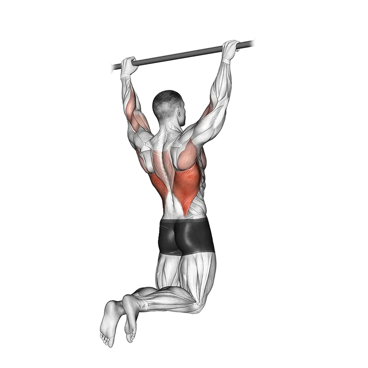 Rear Pull-up exercise animation (Male)