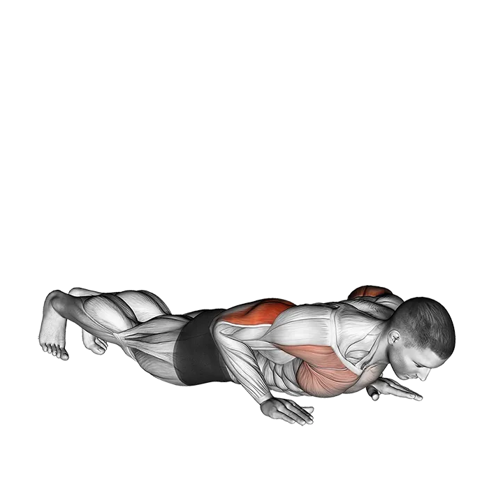 Reverse Dip exercise animation (Male)