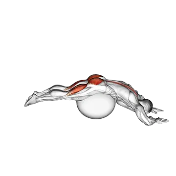Reverse Hyper extension (on stability ball)