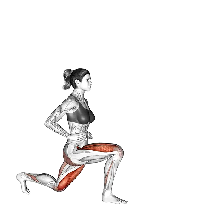 Reverse Lunge (leg kick) exercise animation (Female)