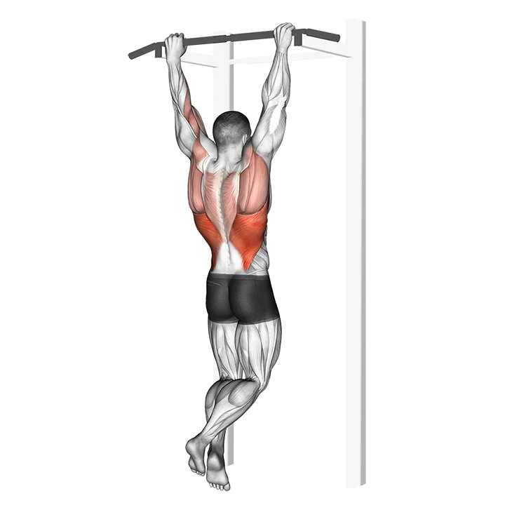 Rocky Pull-Up Pulldown exercise animation (Male)