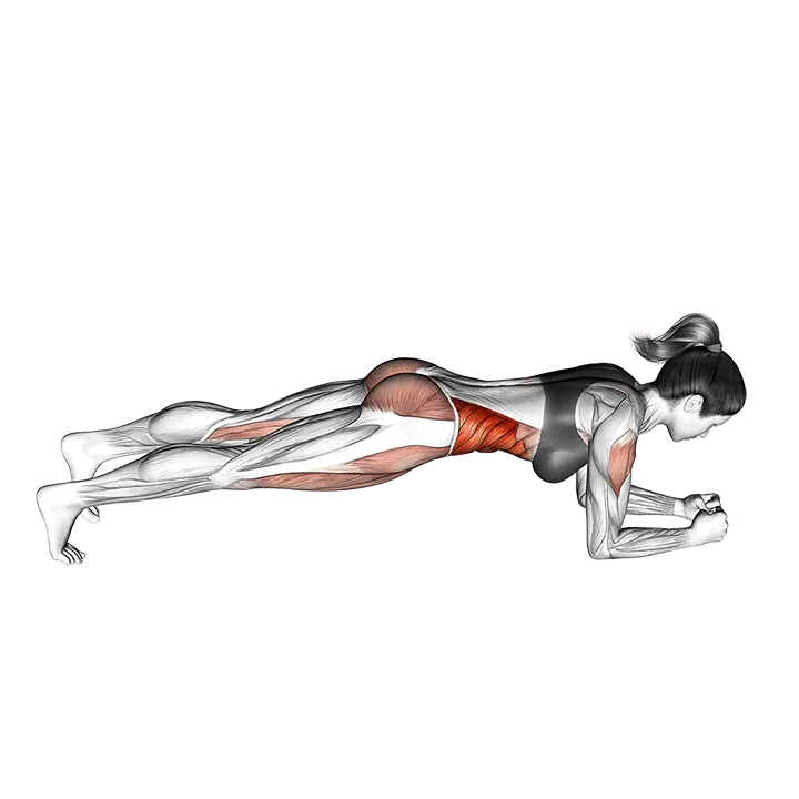 Rolling Bridge exercise animation (Mujer)