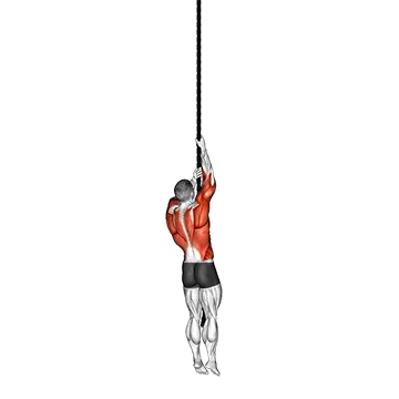 Rope Climb