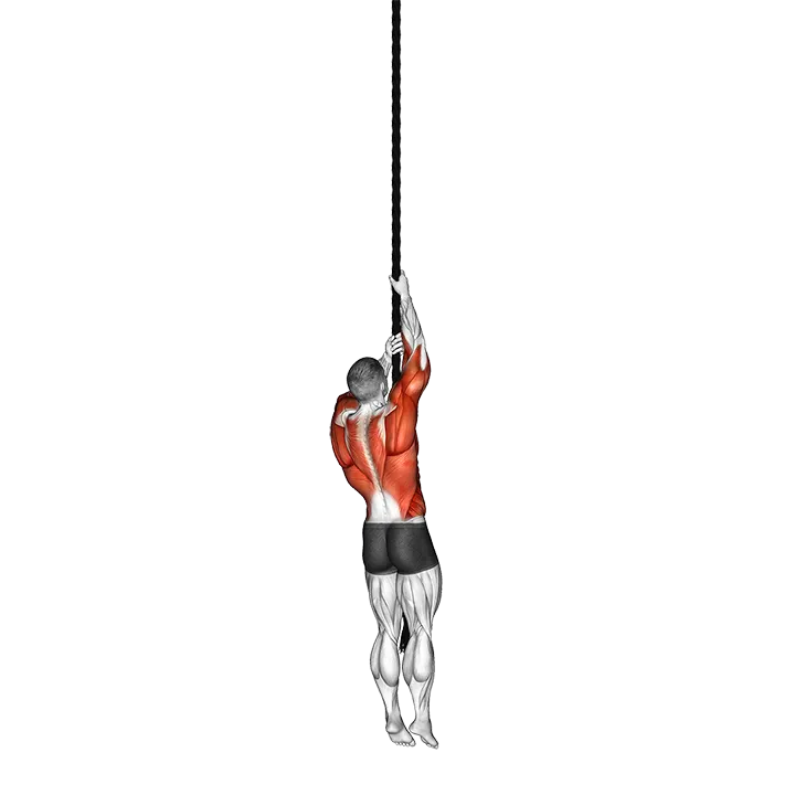 Rope Climb exercise animation (Male)