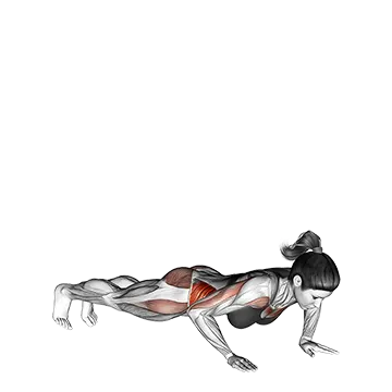 Rotate Push-up (on knees)