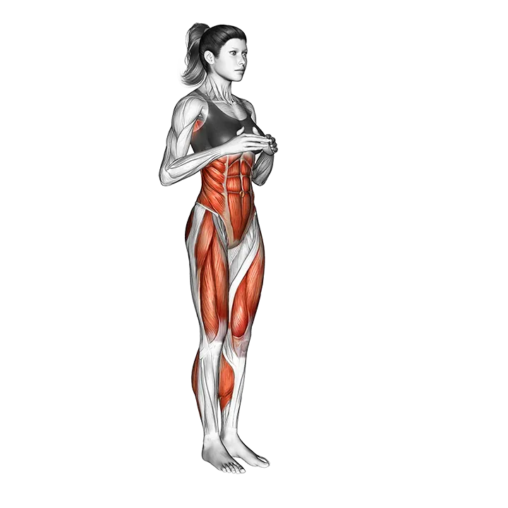 Rotational Jacks exercise animation (Female)
