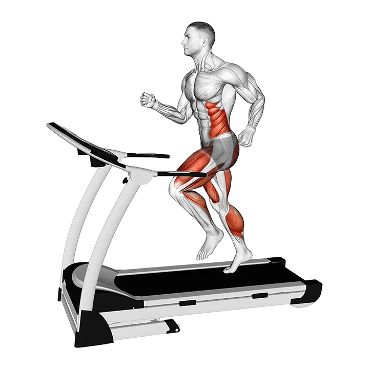 Run (equipment) exercise animation (Male)