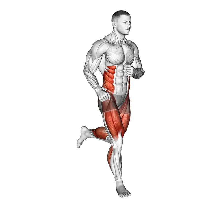 Run exercise animation (Male)