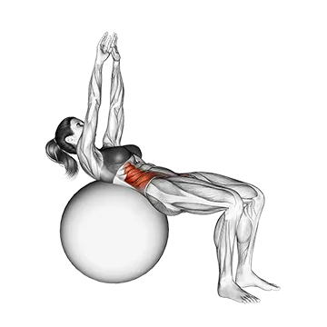 Russian Twist (on stability ball arms straight)
