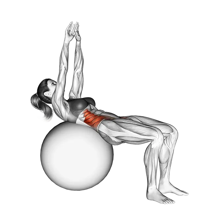 Russian Twist (on stability ball arms straight) exercise animation (Female)