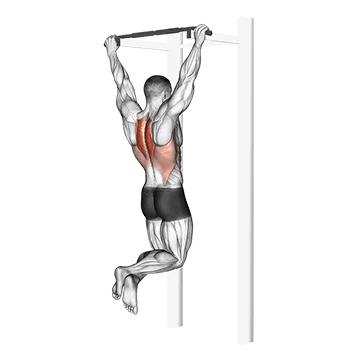 Scapular Pull-Up