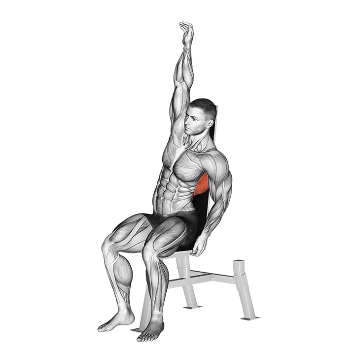 Seated Lower Back Stretch exercise animation (Male)