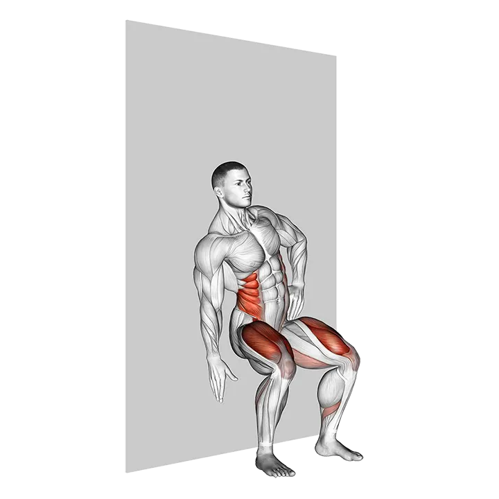 Seated Side Crunch (Wall) exercise animation (Male)