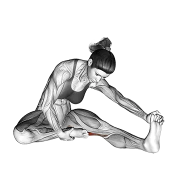 Seated Single Leg Hamstring Stretch