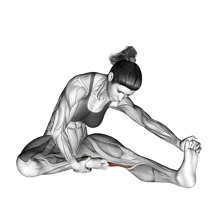 Seated Single Leg Hamstring Stretch exercise animation (Mujer)