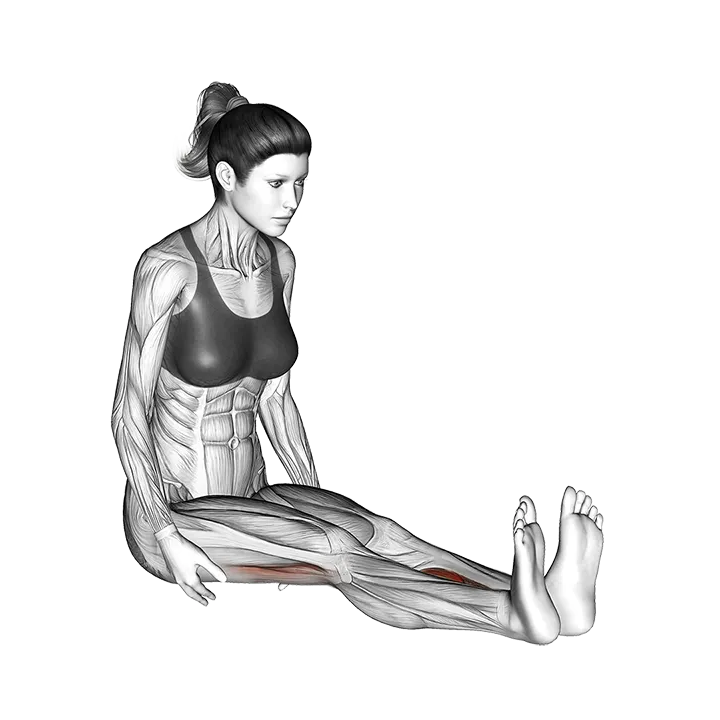 Seated Straight Leg Calf Stretch exercise animation (Female)
