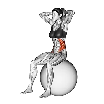 Seated Twist (on stability ball)