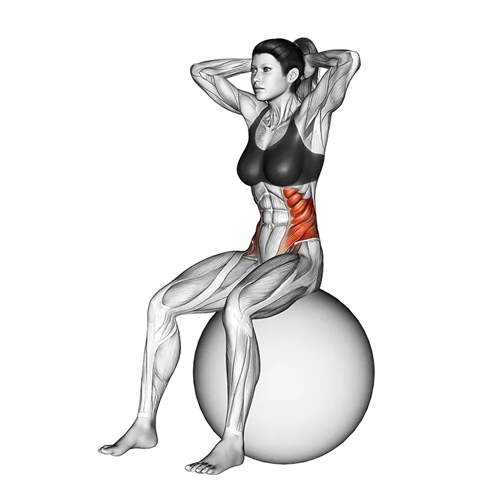 Seated Twist (on stability ball) exercise animation (Female)