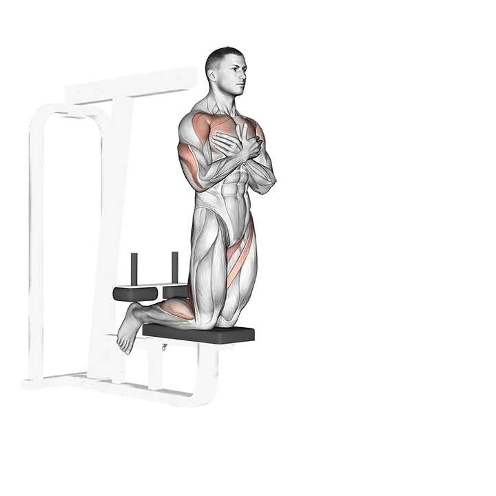 Self assisted Inverse Leg Curl exercise animation (Hombre)