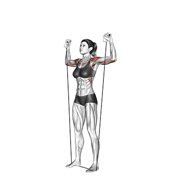 Shoulder Press (with band)