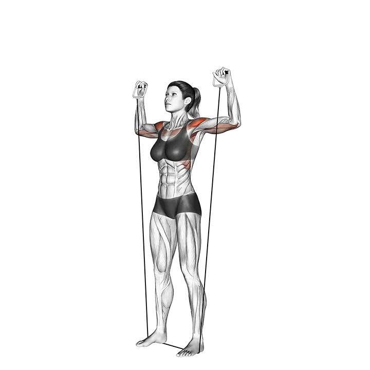 Shoulder Press (with band) exercise animation (Female)