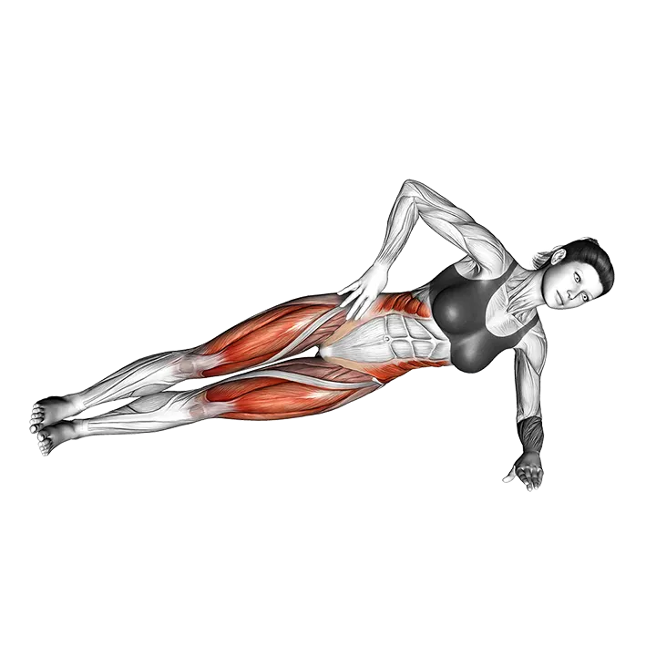 Side Bridge (knee tuck) exercise animation (Female)