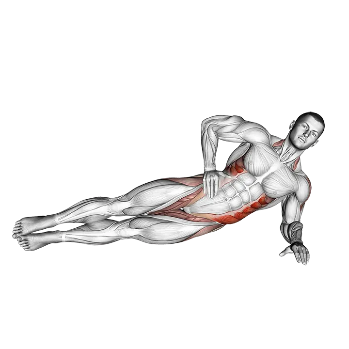 Side Bridge (version 2) exercise animation (Male)