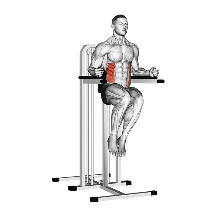 Side Hip (on parallel bars) exercise animation (Male)