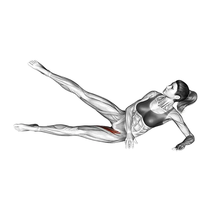 Side Lying Feet Raise exercise animation (Female)