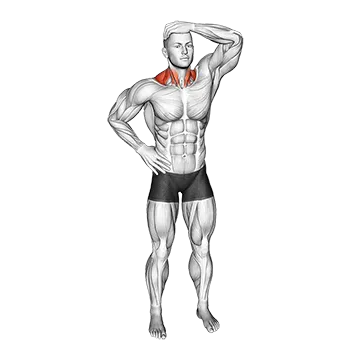 Side Neck Stretch