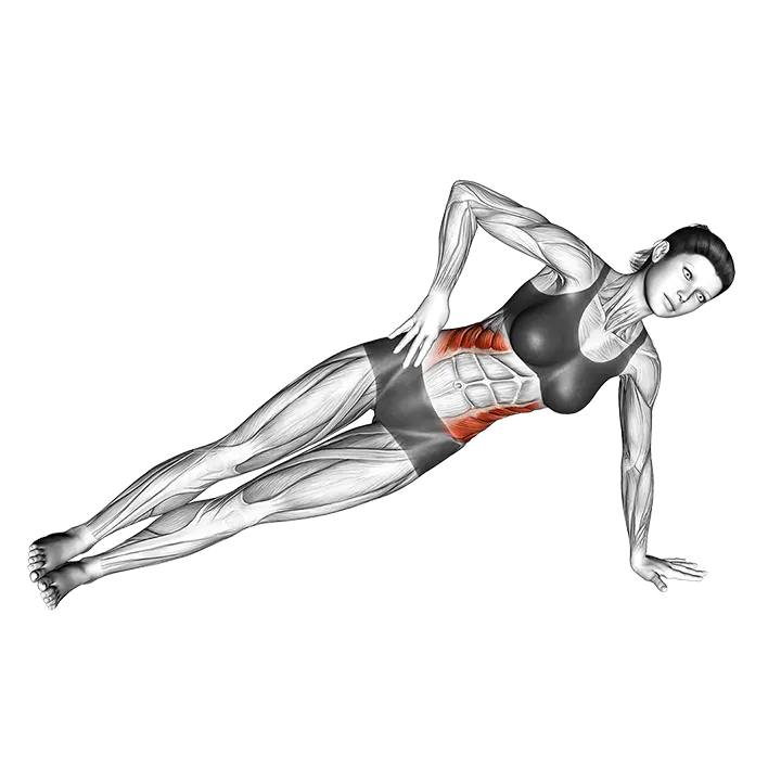 Side Plank (version 2) exercise animation (Female)