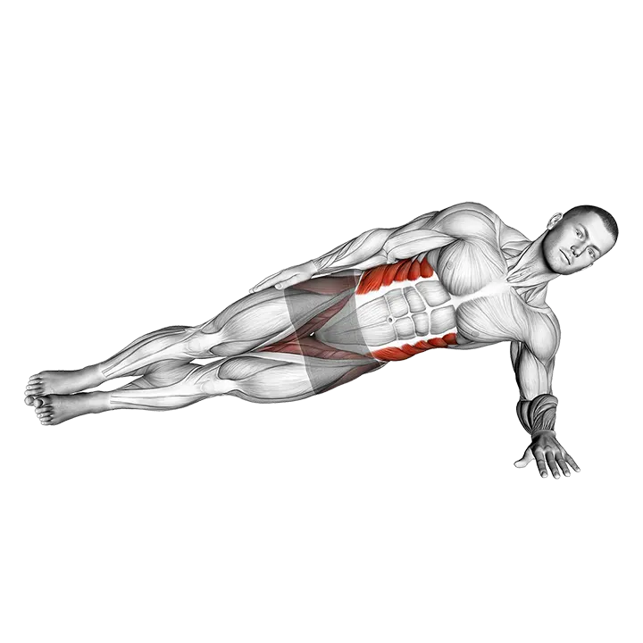 Side Plank exercise animation (Male)