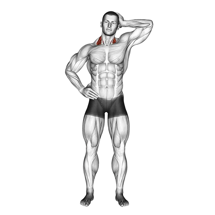Side Push Neck Stretch exercise animation (Male)