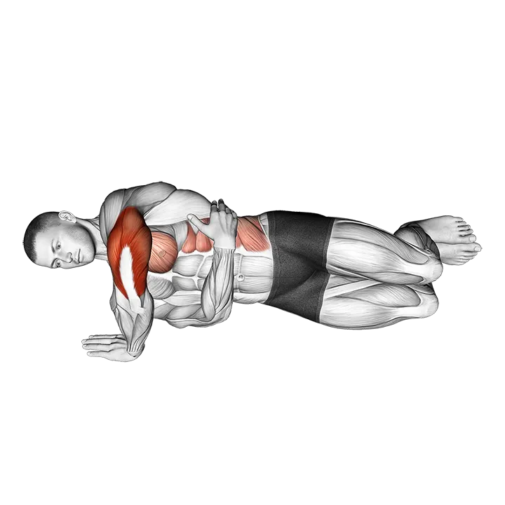 Side Push-up exercise animation (Male)