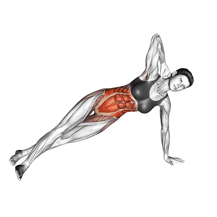 Side Stretch Crunch exercise animation (Female)