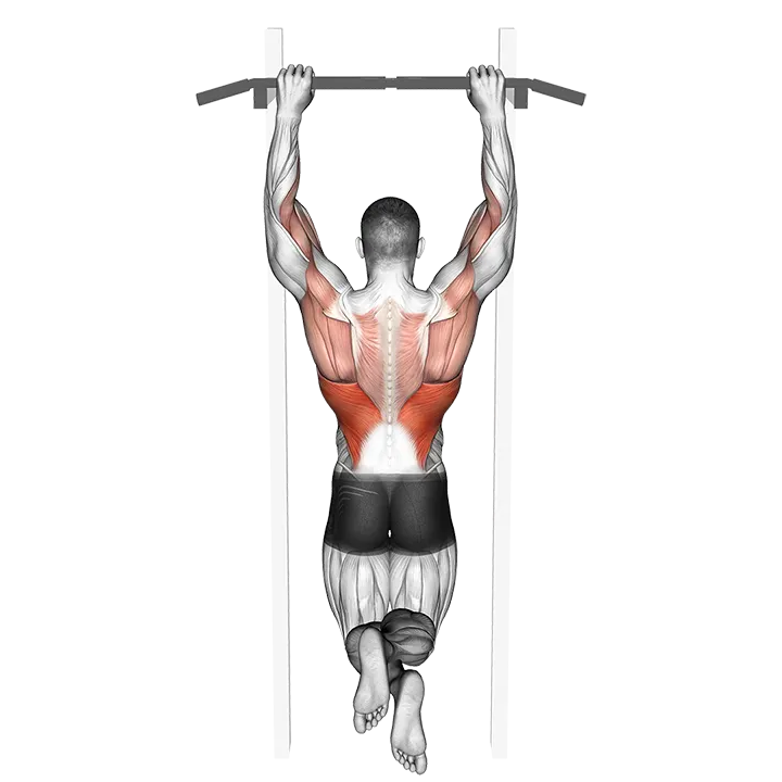 Side-To-Side Chin exercise animation (Male)