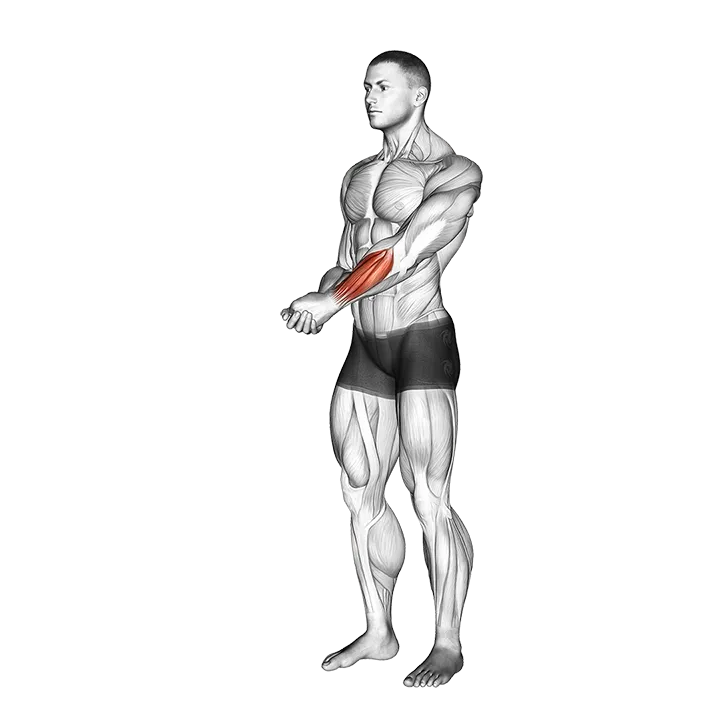 Side Wrist Pull Stretch exercise animation (Male)