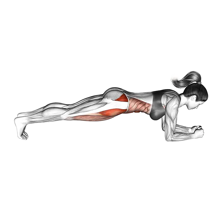 Sideway Leg Bridge exercise animation (Female)