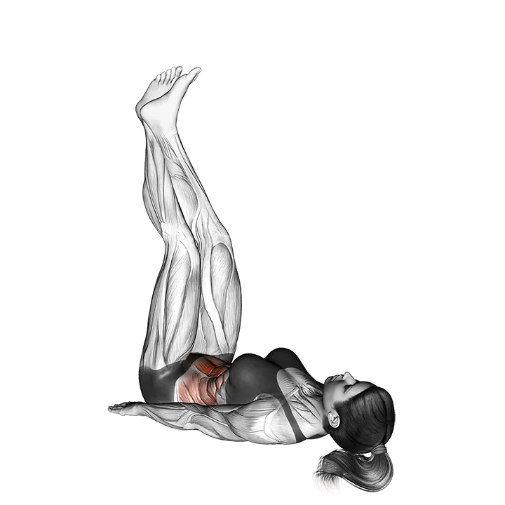 Sideways Lifts Vertical (straight legs) exercise animation (Female)