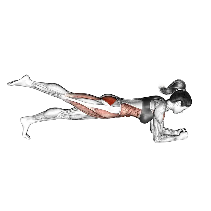 Single Leg Bridge exercise animation (Female)