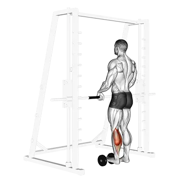 Single Leg Calf Raise (on a dumbbell)