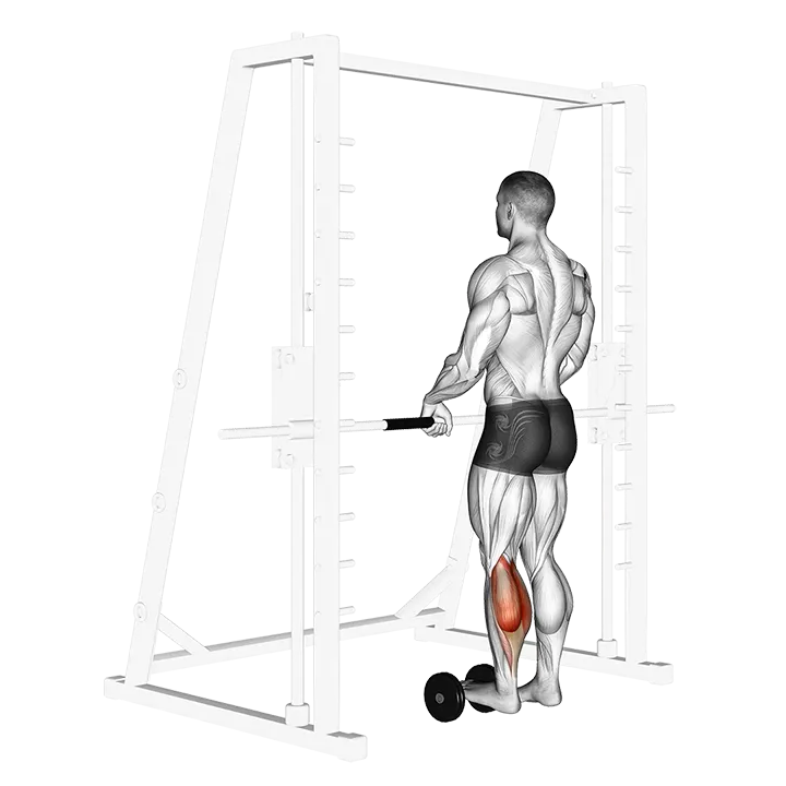 Single Leg Calf Raise (on a dumbbell) exercise animation (Hombre)